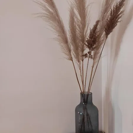 Cvetka 波尔托罗